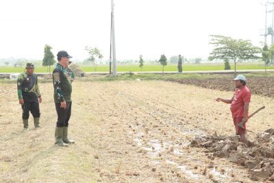 Brigjen TNI Riyanto SIP : Inspirasi bagi Petani di Lahan Urban Farming Korem 051/Wkt